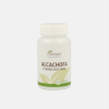 Alcachofra - 100 comprimidos - Plantapol