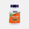 Boswellia Extract 500mg - 90 cápsulas - Now