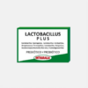 Lactobacillus Plus - 60 cápsulas - Integralia