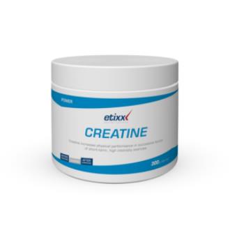 ETIXX creatine creapure 300gr.