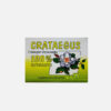 Crataegus oxyacantha 100% extrato - 20 unidoses - Viver