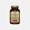 Magnesium with Vitamin B6 - 250 Cápsulas - Solgar