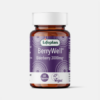 BerryWell Elderberry - 60 cápsulas - Lifeplan