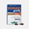 Riparo Gola Própolis - 20 ampolinhas - NATURANDO
