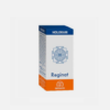 Holoram Reginat - 60 cápsulas - Equisalud
