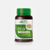 Green 09 Boswelia - 30 comprimidos - Soria Natural