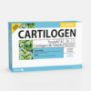 Cartilogen Elastic - 20 ampolas - DietMed