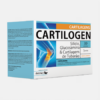 Cartilogen Cartilagens - 30 carteiras - DietMed