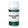 HOLOFIT harpagophytum forte 50cap.