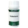 HOLOFIT valeriana 180cap.