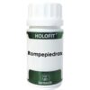 HOLOFIT ROMPEPIEDRAS 50cap.