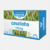 Cavalinha Forte 750 mg - 20 ampolas - Naturmil