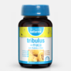 Tribulus + Maca - 60 comprimidos - Naturmil