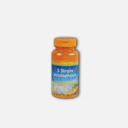5 Strain Acidophilus – 60 cápsulas – Thompson