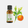 Laranja Doce Citrus sinesis - 30ml - Florame