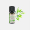 Óleo Essencial Canela Casca 60% Bio - 5ml - Florame