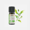 Óleo Essencial Ravintsara Cinnamomum Camphora - 10ml - Florame