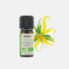 Óleo Essencial Ylang-Ylang Cananga odoratissima - 5ml - Florame
