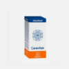 Holoram Cerevitan - 60 cápsulas  – Equisalud