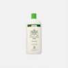 Shampoo Cannabis Ecocert BIO - 500ml - Drasanvi