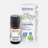 OE Cardamomo Elettaria cardamomum Bio - 5ml - Ladrôme