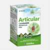 Articular Cannabis - 60 cápsulas - Ynsadiet