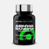 Ashwagandha - 60 cápsulas - Scitec Nutrition