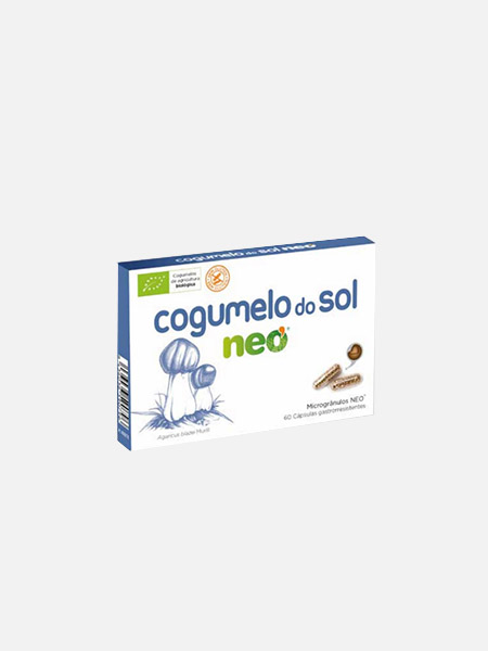 Cogumelos biotech