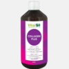Collagen Plus - 500 ml - VitaSil