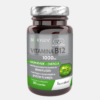 Vivaflore Trânsito - 100 comprimidos - Super Diet