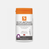 Isoflavonas - 70 cápsulas - BioFil