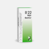 R22 Palpitações, Dispneia, Afrontamentos - 50ml - Dr. Reckeweg