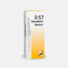 R57 Bronquite, Insufuciência Renal, Hepatite, Cirrose - 50ml - Dr. Reckeweg