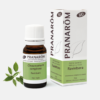 OE Ravintsara Cinnamomum camphora BIO - 10ml - Pranarom