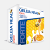 Geleia Real Forte - 15 ampolas - Fharmonat