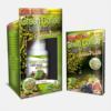 Green Coffee MaxiPlus Kit - 60 cápsulas + 30 comprimidos - Fharmonat