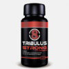 Red 8 Tribulus Strong - 48 cápsulas - Fharmonat