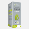 Biokygen Carvão Vegetal + Funcho - 60 comprimidos - Fharmonat