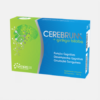 Cerebrum + Ginkgo Biloba - 30 cápsulas - Natiris