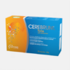Cerebrum Forte com Cerosomas - 30 cápsulas - Natiris