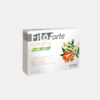 FitoForte Curcuma - 30 comprimidos - Eladiet