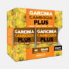 Garcinia Cambogia Plus Pack - 60 + 60 comprimidos - Novity
