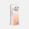R73 Aretrose das Grandes Articulações - 50ml - Dr. Reckeweg