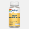 Iron Bisglycinate - 60 comprimidos - Solaray