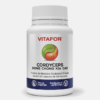 Cordyceps Dong Chong Xia Cao - 60 cápsulas - Vitafor
