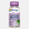 Activated Broccoli Seed Extract 350mg - 30 cápsulas - Solaray