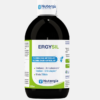 ERGYNUTRIL Advance baunilha - 300g - Nutergia