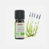 Óleo Essencial Lavanda Fina Montanha Lavandula angustifolia - 10ml - Florame