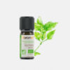 Óleo Essencial Manjericão Doce Ocimum basilicum - 5ml - Florame