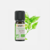 Manjericão Tropical Ocimum basilicum - 10ml - Florame